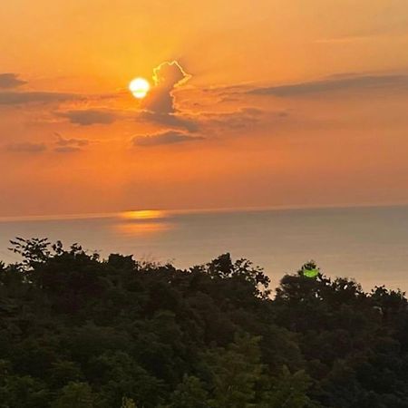 B&B Ereprijs 海牙 外观 照片