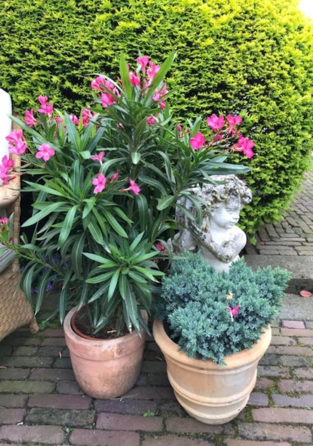 B&B Ereprijs 海牙 外观 照片