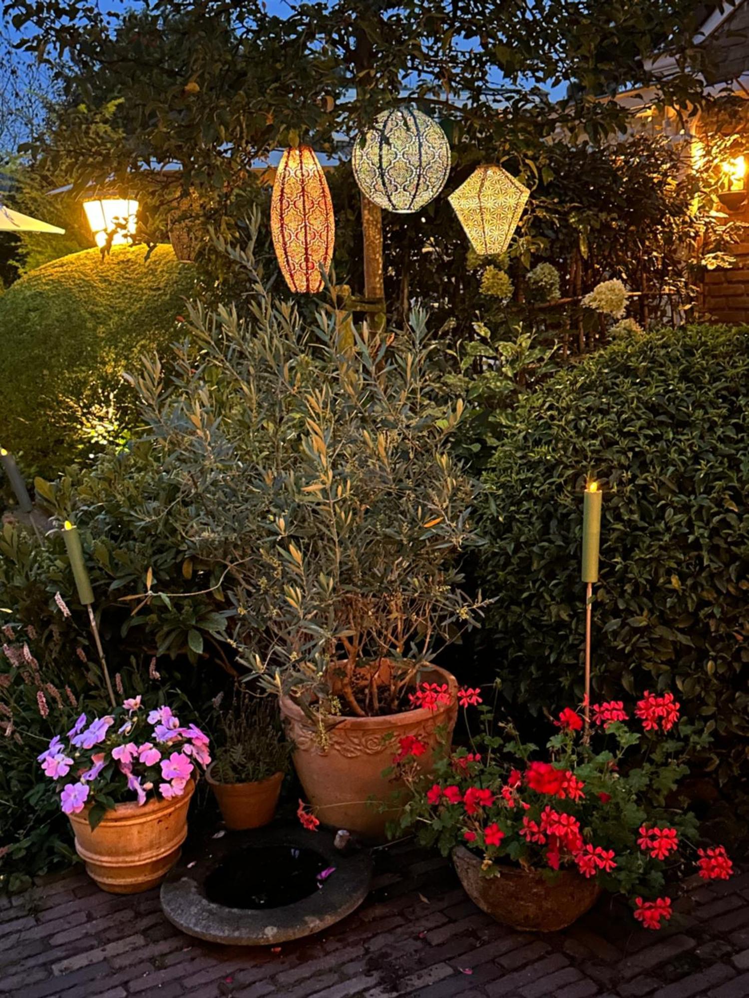 B&B Ereprijs 海牙 外观 照片